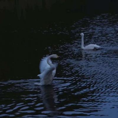 百姓彩票下载手机版